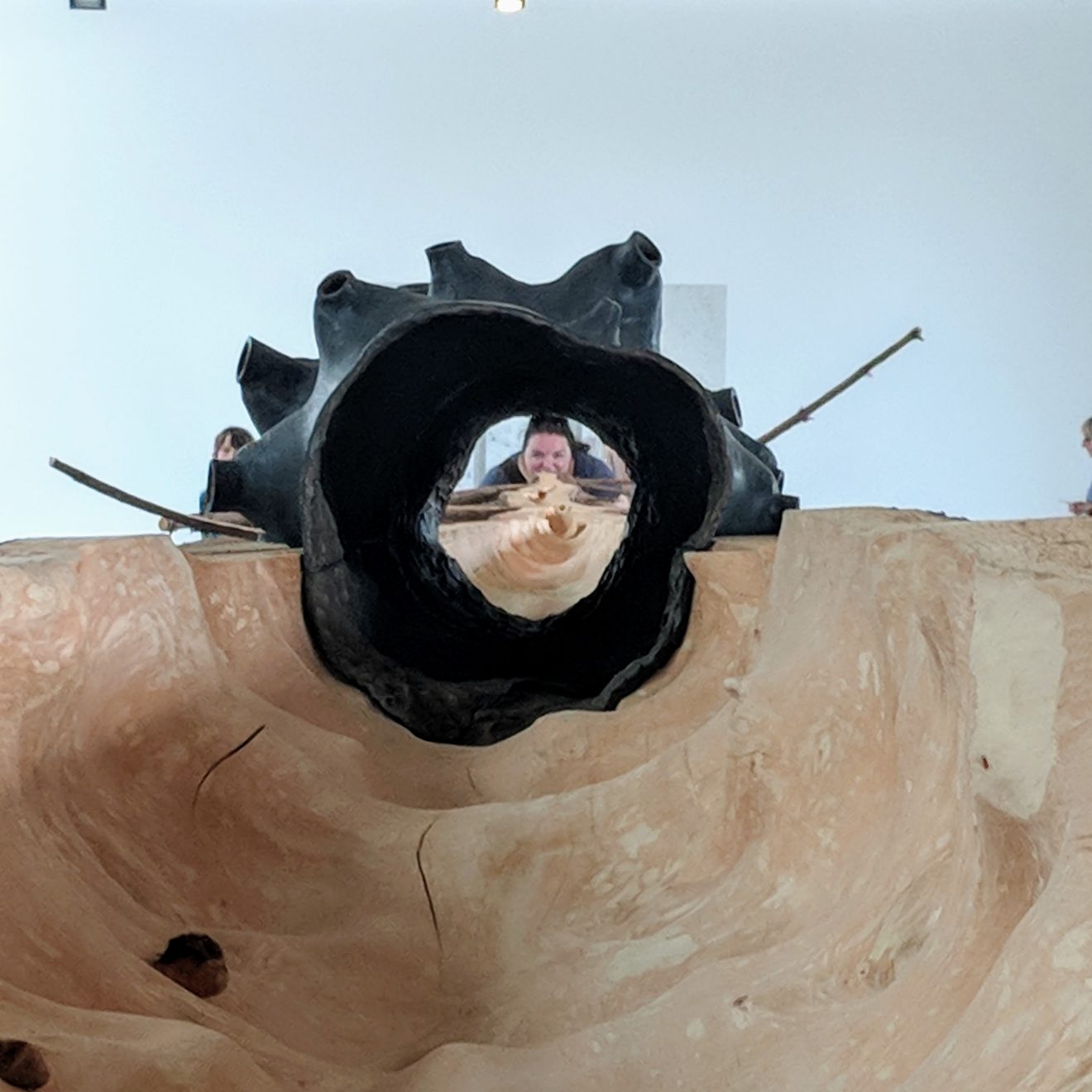 A Tree in the Wood by Giuseppe Penone