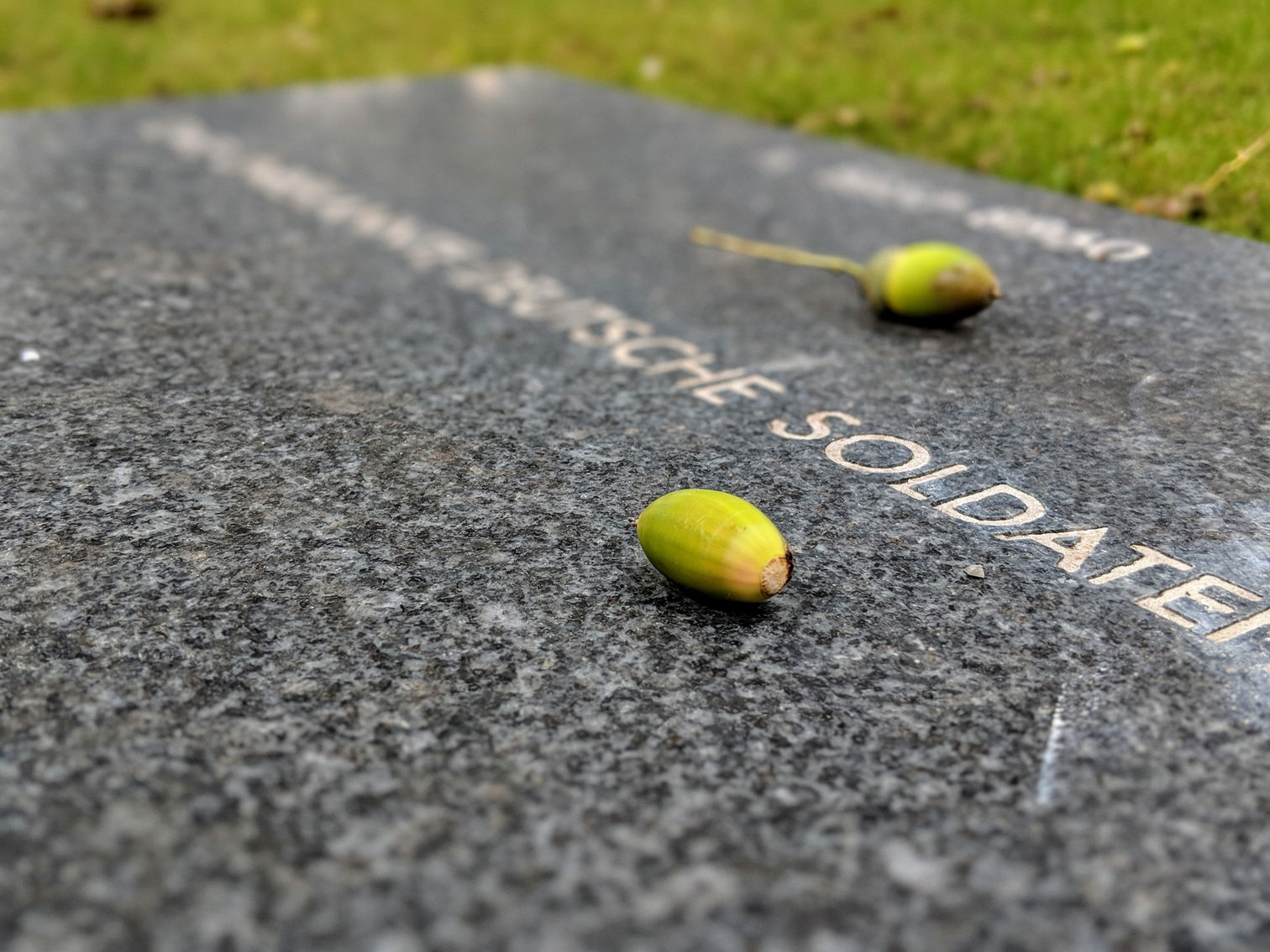 Acorns on a gravestone