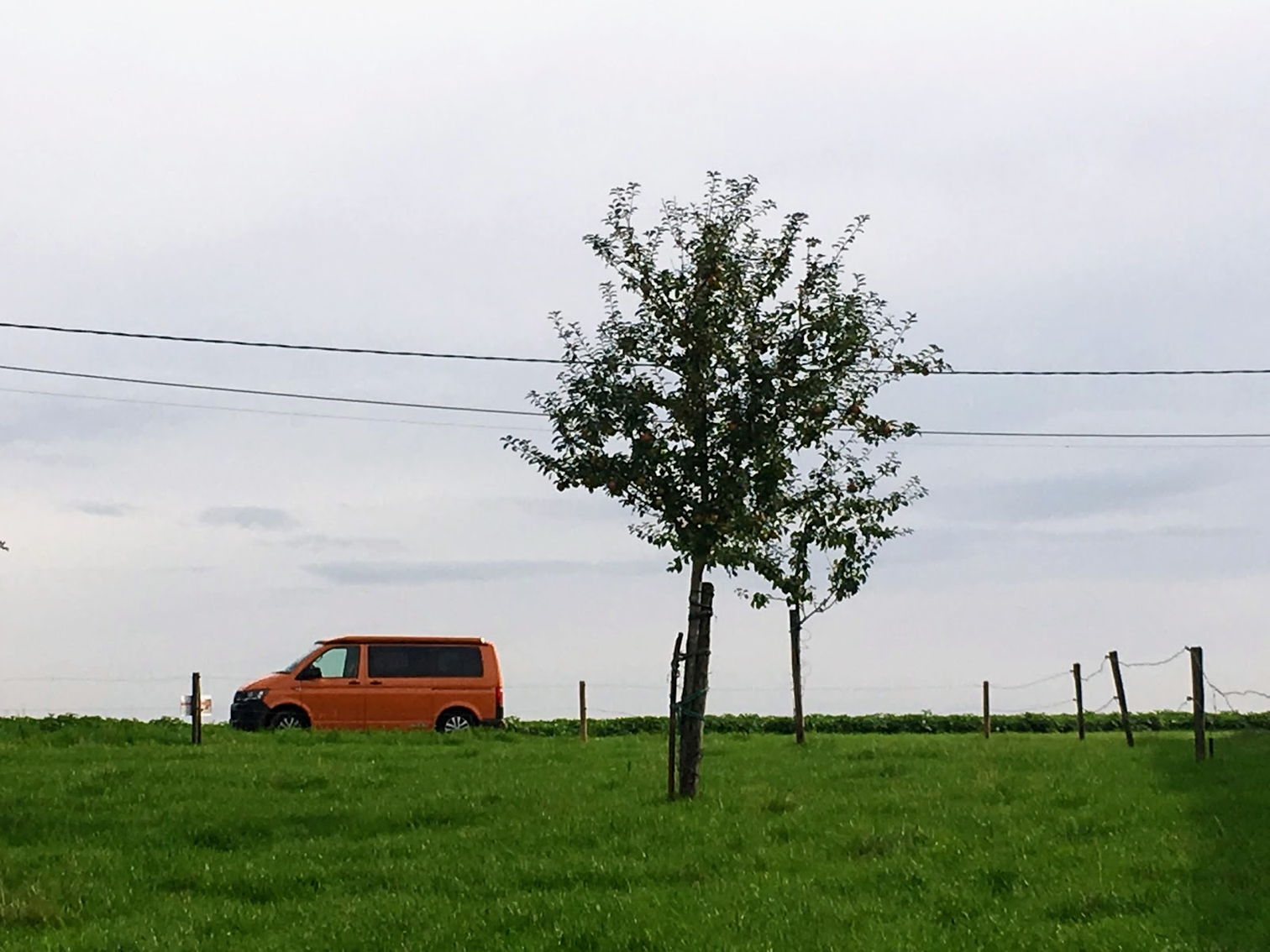 Our campervan parked next to a tree
