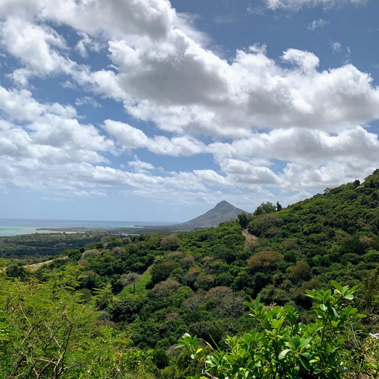 View from the car while driving up a hill
