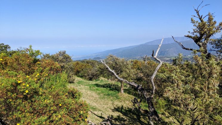 Landscape view over Piton de la Fournaise
