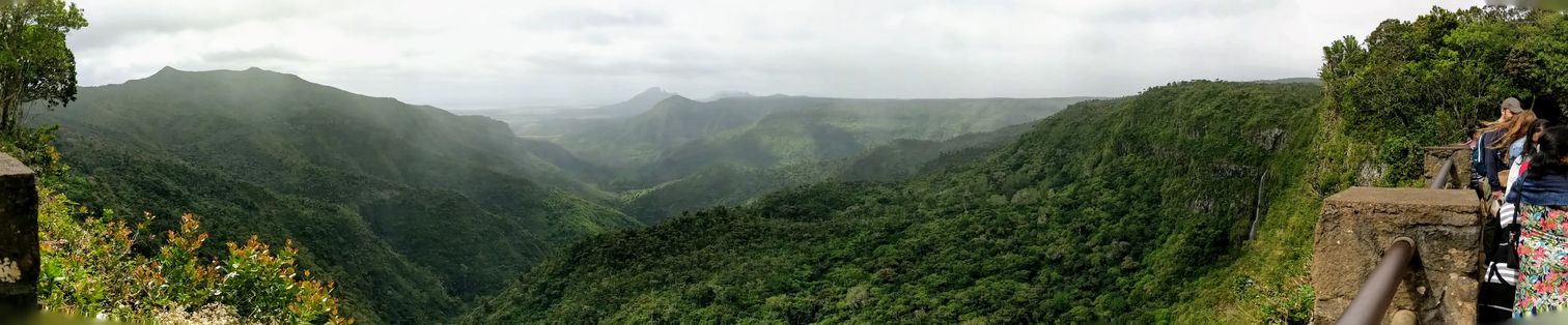 Panoramic view of the Black River Gorges